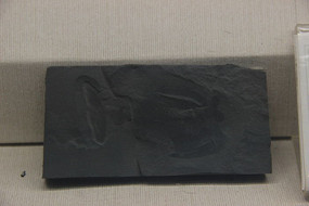 �г�´��׳滯ʯ