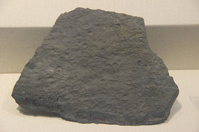 Բˮĸʯ