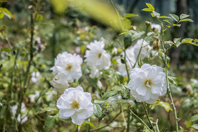 ��ɫ���¼�����