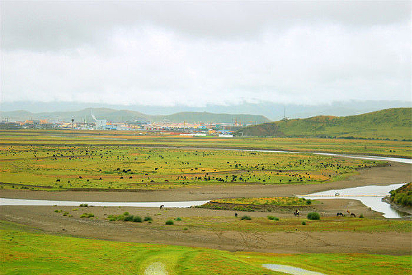 ���������