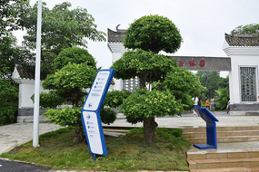 ��԰��ľ����ͼƬ