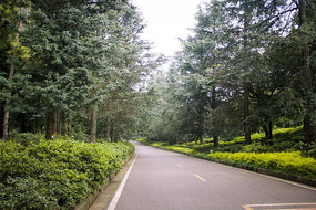 ��·�Ե�ï������