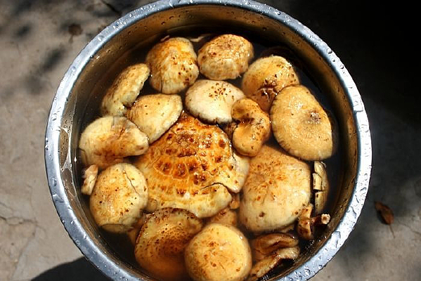 ��ϴ������Ģ��