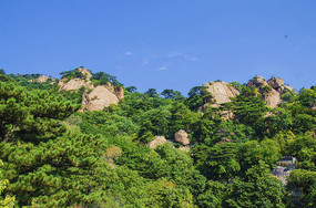 ���¸Խ�������������ɽ��