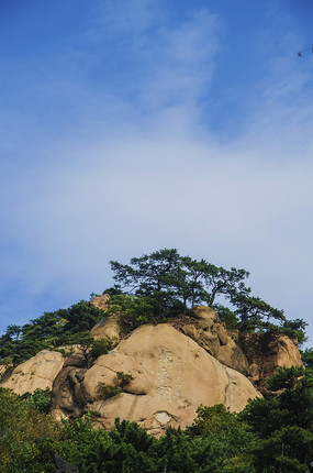 ���¸�ɽ�����������