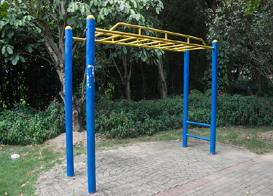 �����˶�����