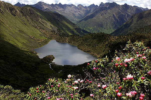 ��ɽ�º���