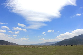 ��ԭ�ϵ����