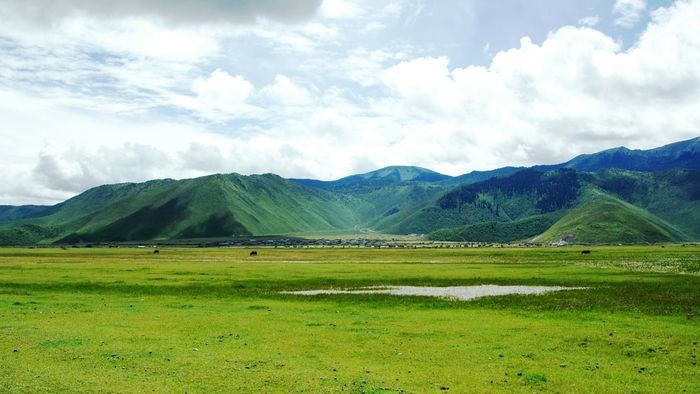 ��ԭ��ɽ��