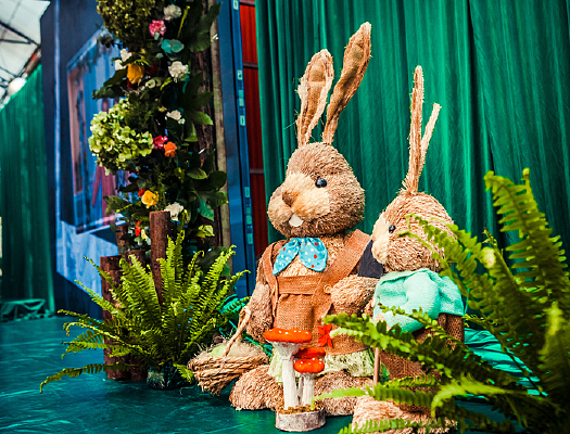 ɭϵ���񲼳�