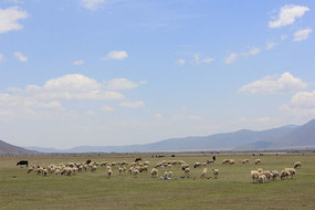 һ���޼ʵĲ�ԭ