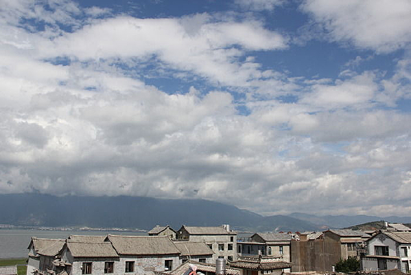 �����Ʋ�