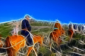 ���Ի����������ӡ�