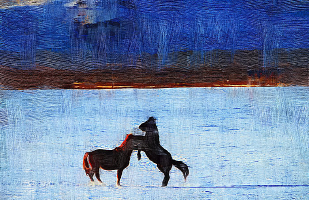 �����ͻ���ѩԭ������