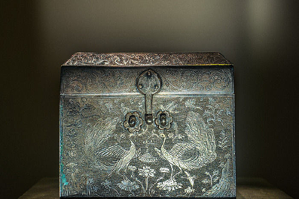 ��ȸ��������