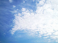 ������Ʊ���