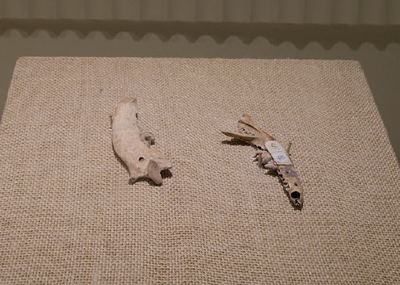 ��������