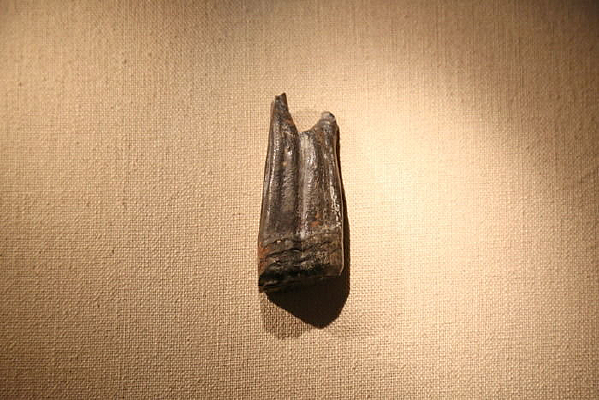 ��Ȧ����ַ��ֺ������