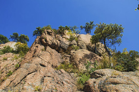 ǧɽ���ɽ������ľ