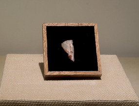 �޹�����