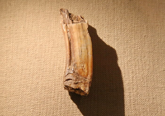 �微����ַҰ������