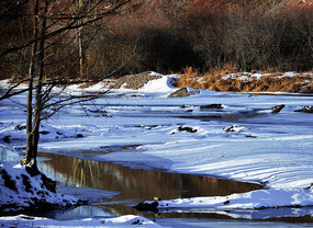 ��ѩ����