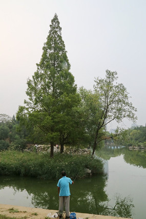 ��԰С�Ӵ���