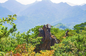 ǧɽС��ɽ���ַ���ɽ��ɽ��