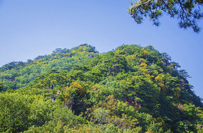 ǧɽС��ɽ��ϼ��ɽ����ɭ����ľ