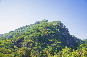 ǧɽС��ɽ��ϼ��ɽ������ľɭ��