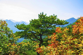 ǧɽС��ɽ��ϼɽ������