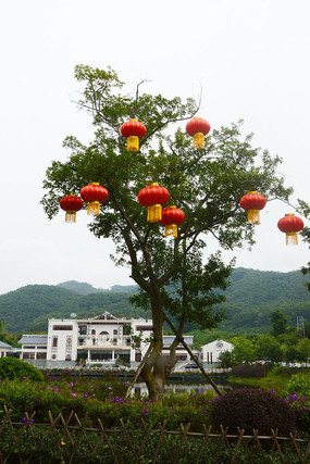 ���ϵĺ����