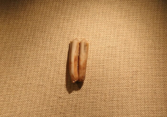 ����ׯ��ַ��¹����