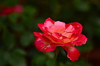 �¼���������дͼƬ