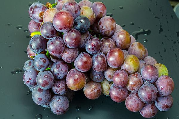 ��ɫ����