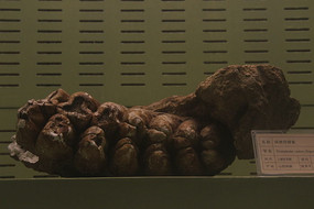 �������������ݻ�ʯ