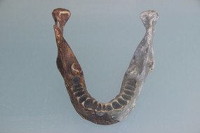 ����ֱ�������ǻ�ʯ