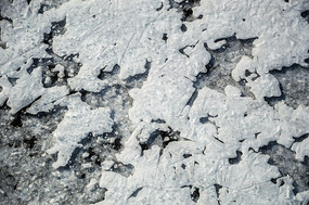 ������·