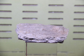 ��״��ӢƬ��