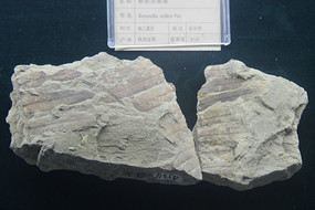 ��Ү�c��ާ��ʯ