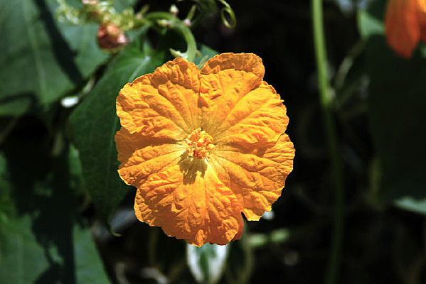 ���ĵ��Ϲϻ�