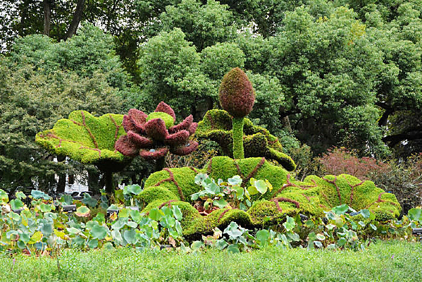 ������Բ԰�վ����ز�