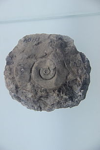 ݻʯ