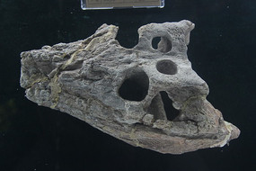 ������������ʯ