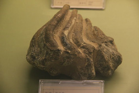 �Ϸ��������ʯ