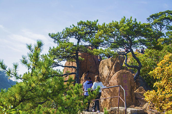 ǧɽС��ɽ��·��������ľ