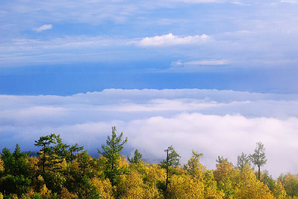 �����ƺ�����