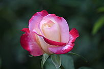 �뿪�ķ�ɫ���¼���