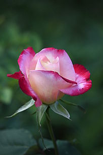 �뿪�ۺ���¼���