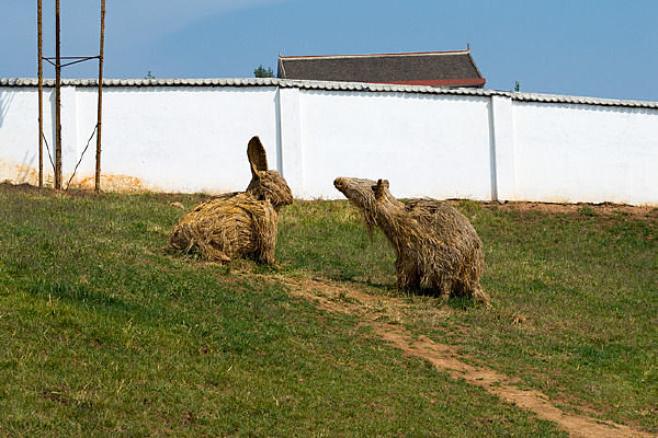 �ݱ�����